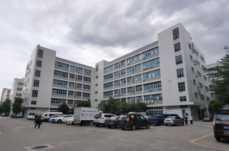 特价19元出租布吉木棉湾天虹附近红本厂房1000平可分租