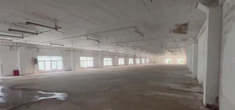 厂房出租布吉大芬2000平现成装修原房东仓库厂房大小分租