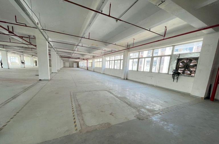 布吉百鸽笼独门独院原房东带红本厂房出租1500平200平起租