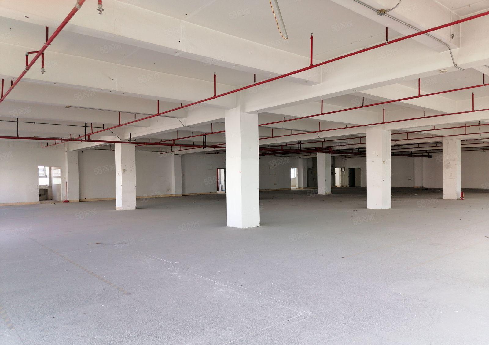 布吉 百门前 一手红本 一楼2000平厂房仓库出租