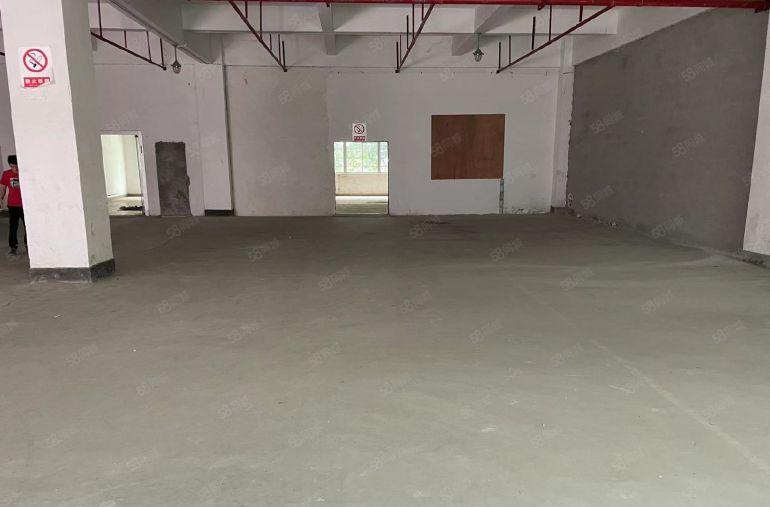 沙湾工业区原房东一楼仓300平 650平出租