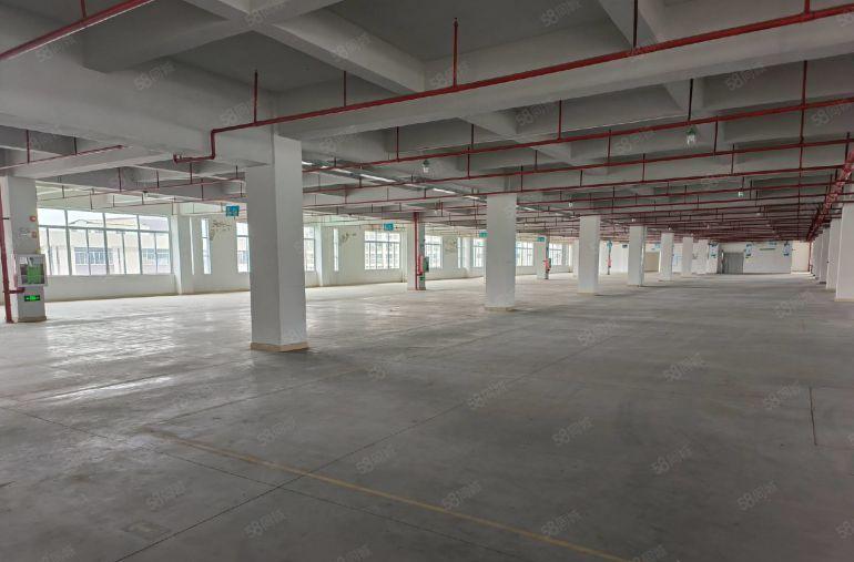 原房东独门独院工业园低价厂房出租一楼仓库出租厂房大小分租空地