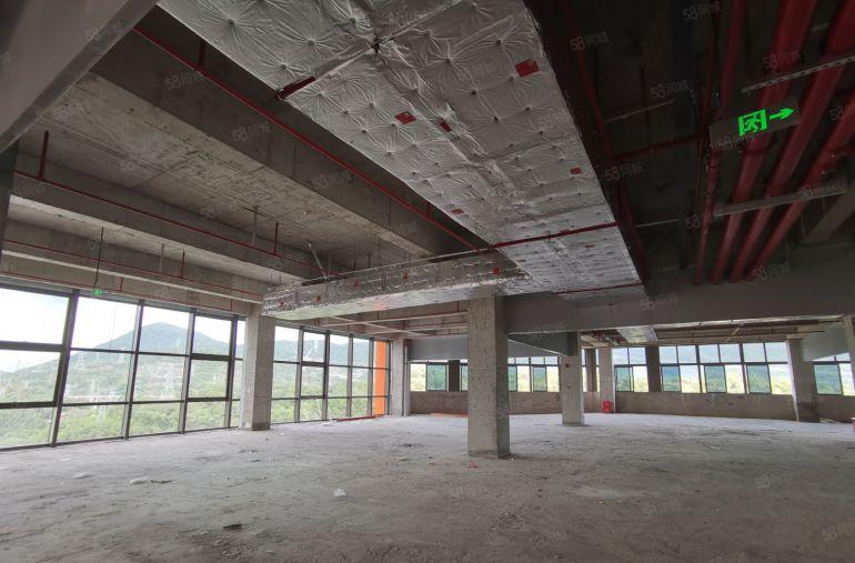 龙岗新型高标厂房户型方正高实用率 可研发 业主直租500平起