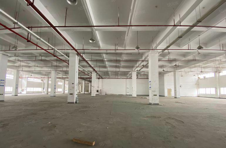 布吉上李朗500平一楼车间加仓库厂房出租200平起分租