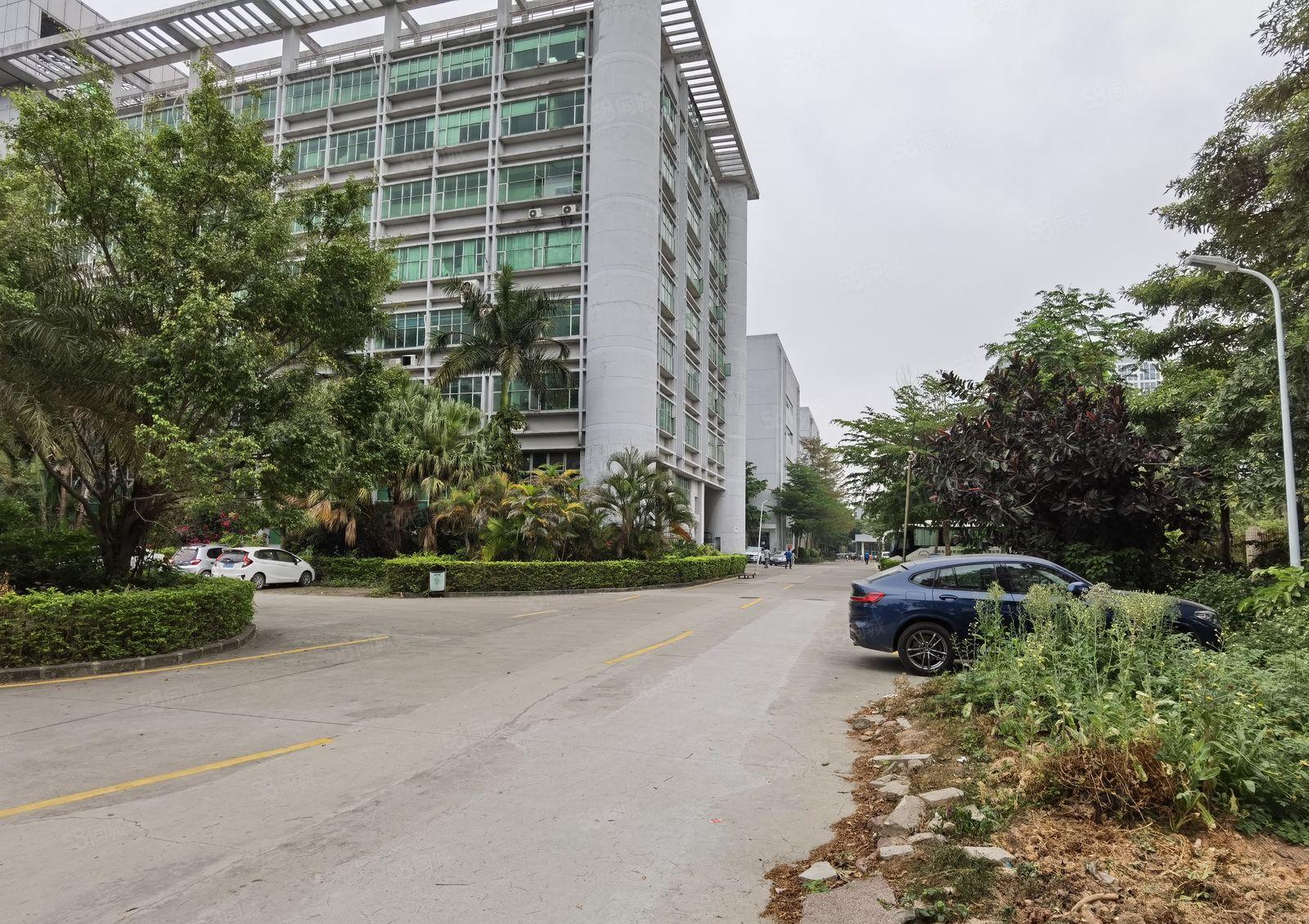 布吉利郎原房东工业园500平米精装办公室厂房仓库出租,可分租