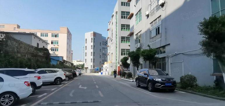 布吉坂田新出1000平至5000平方厂房仓库出租独院大小分租