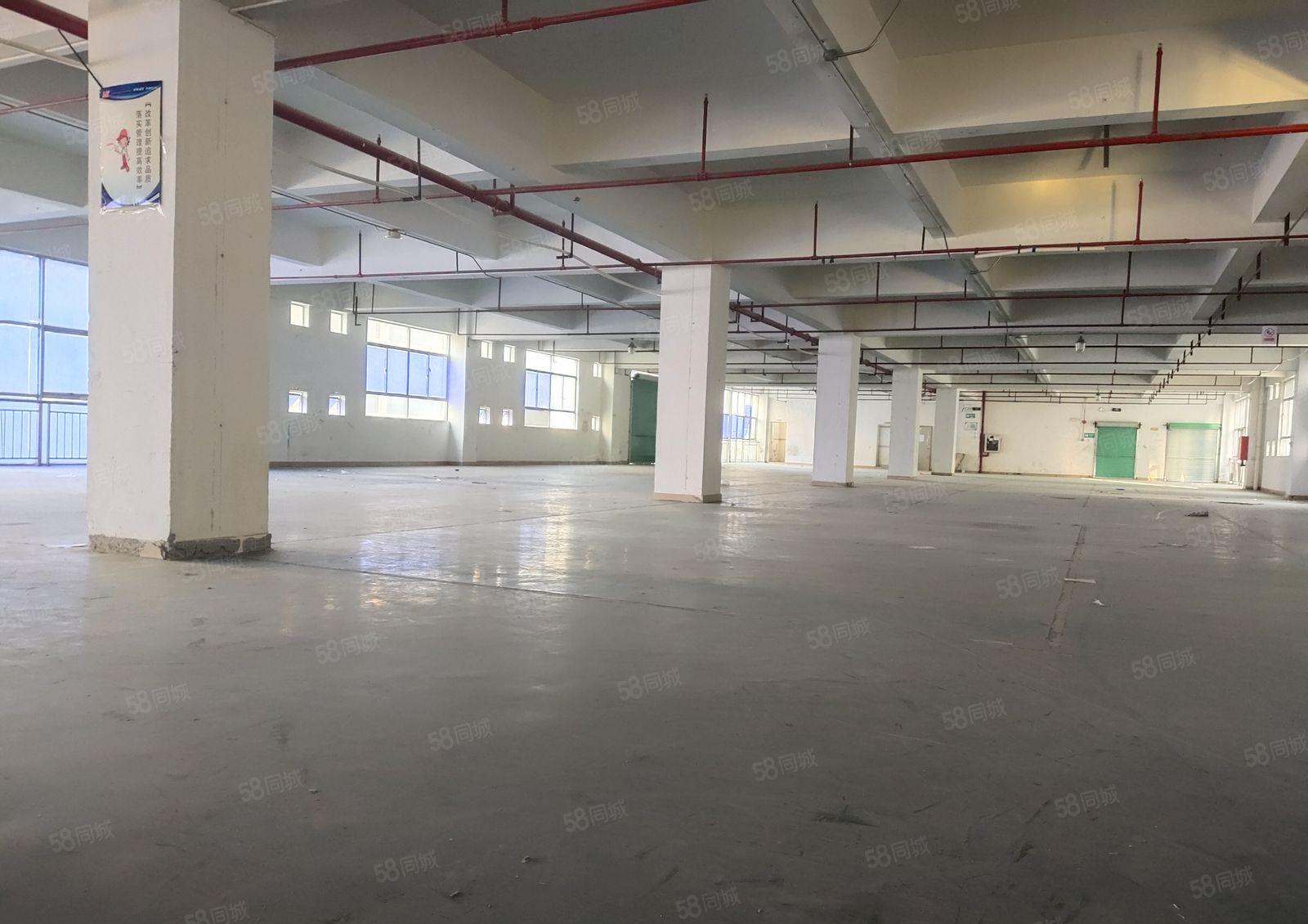 布吉上李朗工业园独院一楼2百5百8百1千平仓库厂房出租可分租