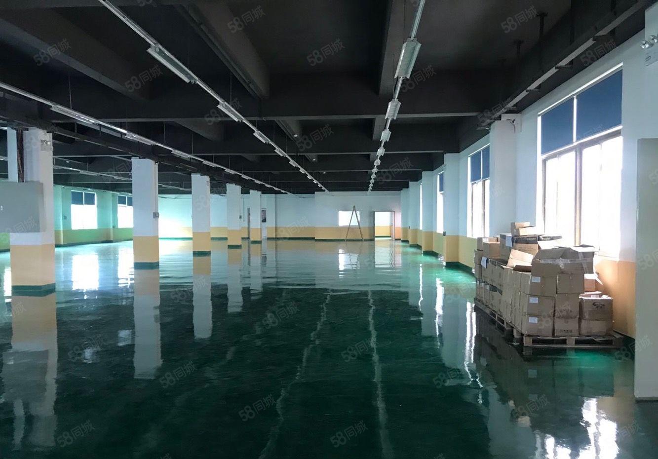 20块起，李朗原房东1200平厂房出租，现成装修可分租！