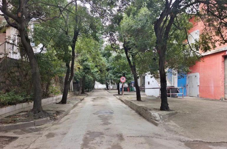 房东直租百鸽笼万象汇附近红本厂房1000平可分租不限行业