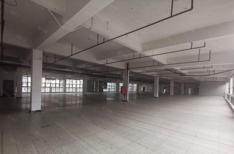 布吉李朗独栋20000平原房东红本花园厂房出租带精装修可分租