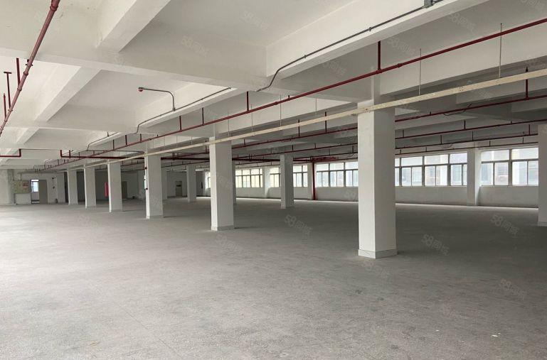 布南岭大型工业区1500平厂房出租300起分 原房东红本厂房