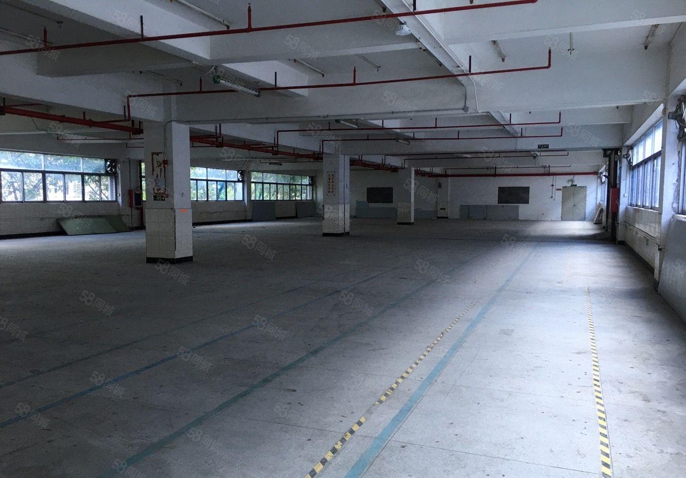 布吉丹竹头早禾坑工业区三楼1800平米厂房仓库出租