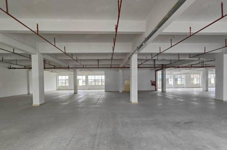 龙岗布吉园区厂房开发商直租 带红本 500平起分 租金含税