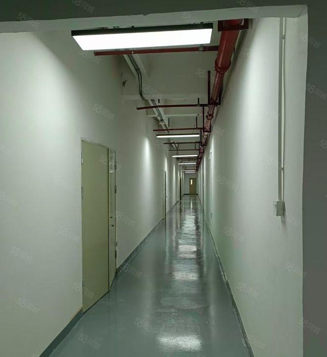 布吉丹竹头主干道1068平方，160平方起分