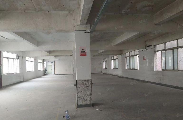 丹竹头原房东厂房仓库，大小面积一手招租