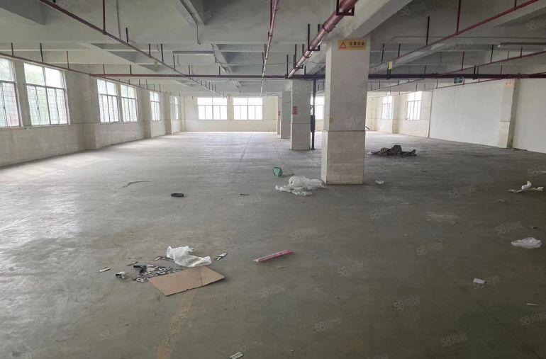 南岭工业区一二楼厂房仓库出租200平 500平 1200平