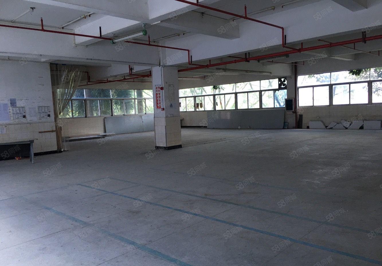 布吉秀峰工业城A5栋二楼600平米厂房仓库招租