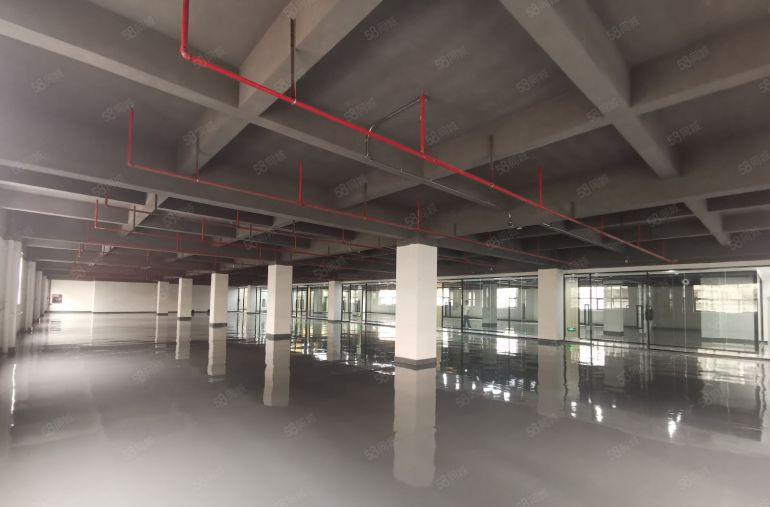 李朗原房东2000平红本厂房出租 全新地坪漆 9成使用率