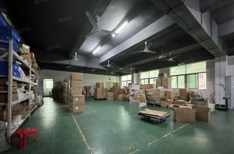 布吉白鸽笼 原房东 100平起分  厂房仓库出租  一楼厂房