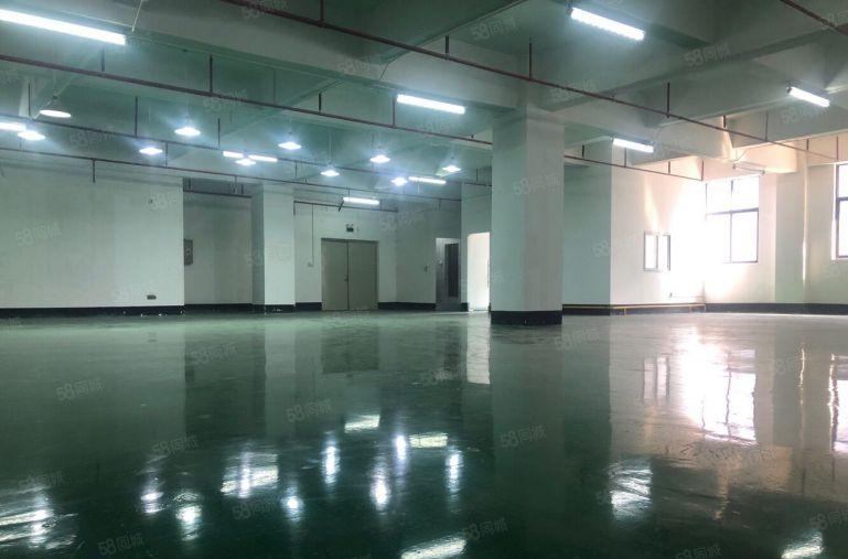 布吉李朗原房东带红本环评4000平二三楼厂房仓库出租！