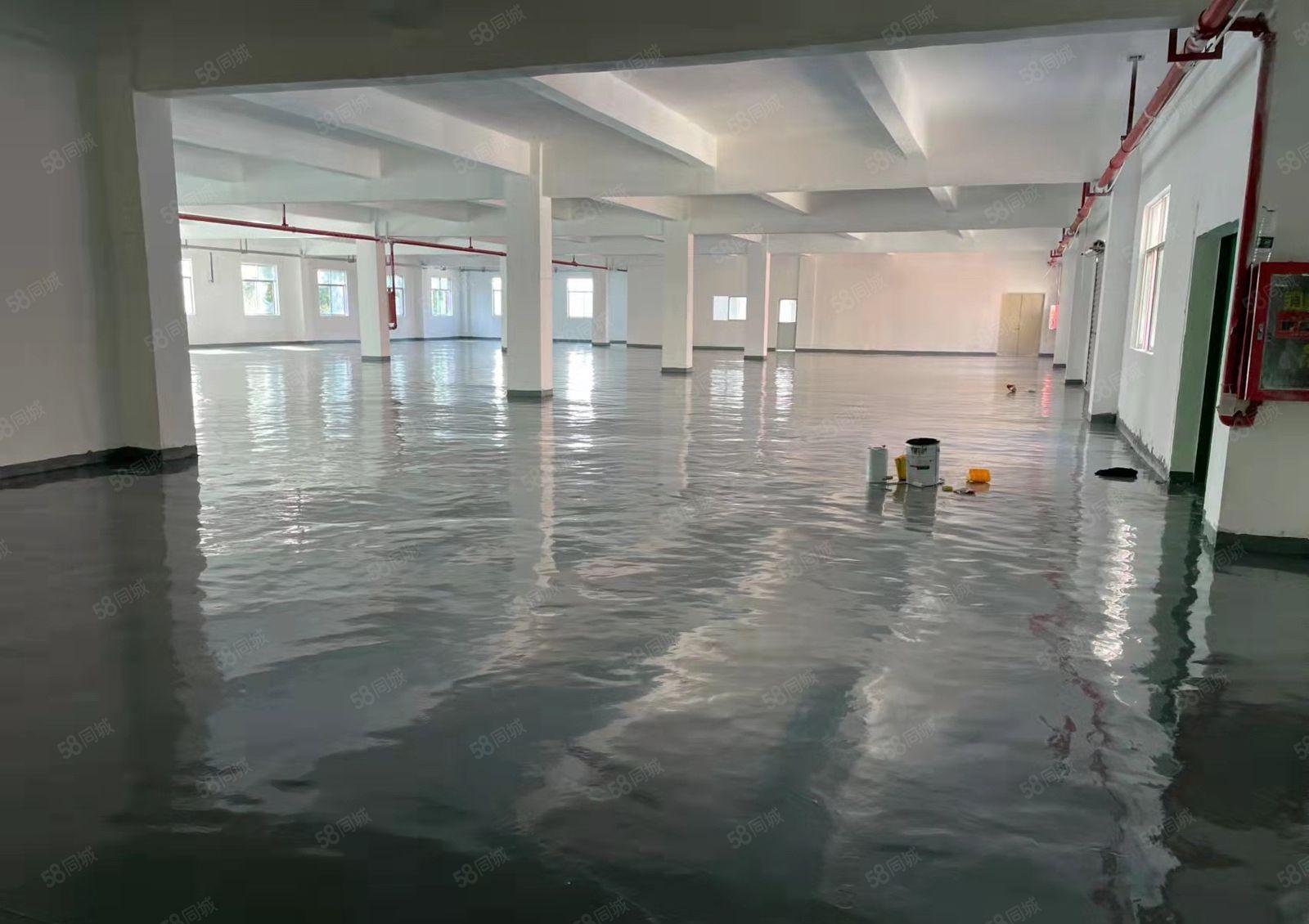 丹竹头1050平米厂房全新地坪漆，带消防喷淋，货梯