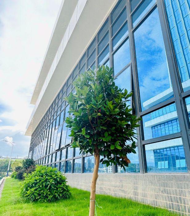 布吉地铁口带装修厂房15000平出租，100平起分租