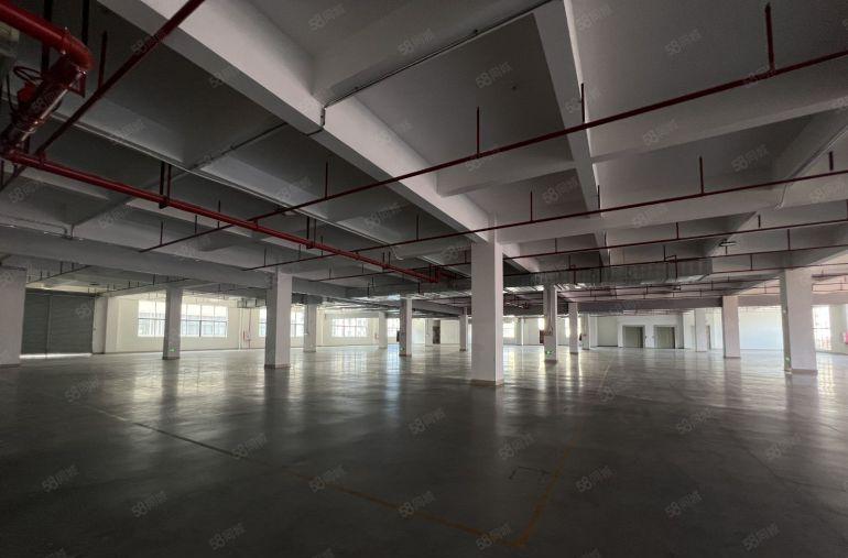 布吉680平方厂房仓库出租带全新地坪漆空地大拖头随进免中