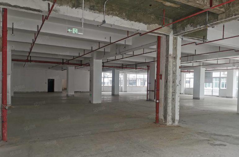 布吉高标物流仓6500平原房东厂房出租 独门独院仓库物流