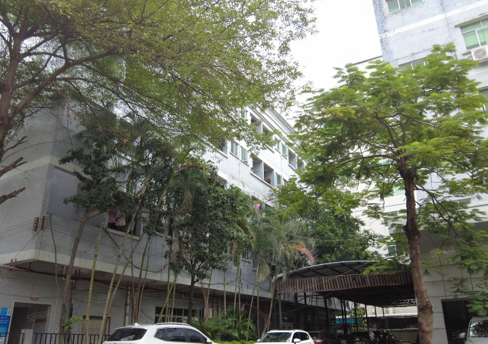 可做医药电子布吉李朗工业园500平起租厂房出租共3万平