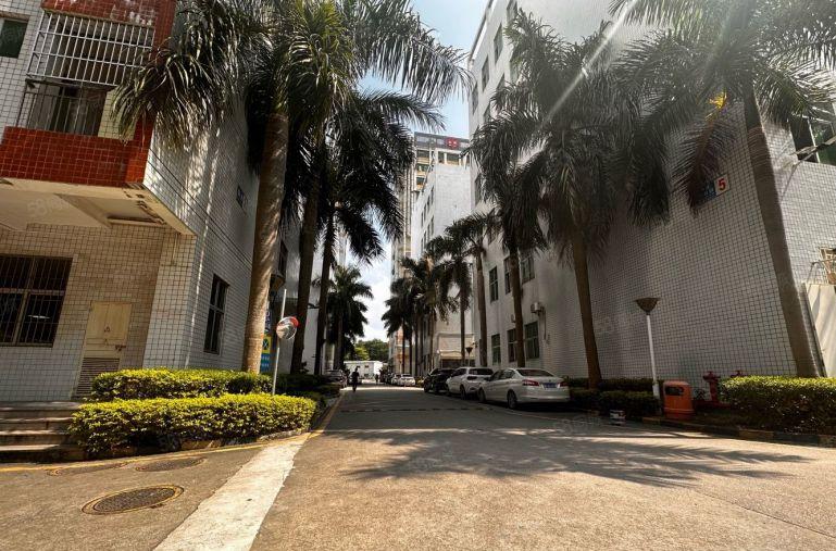 布吉李朗楼上500平带精装厂房出租，带家私无转让费