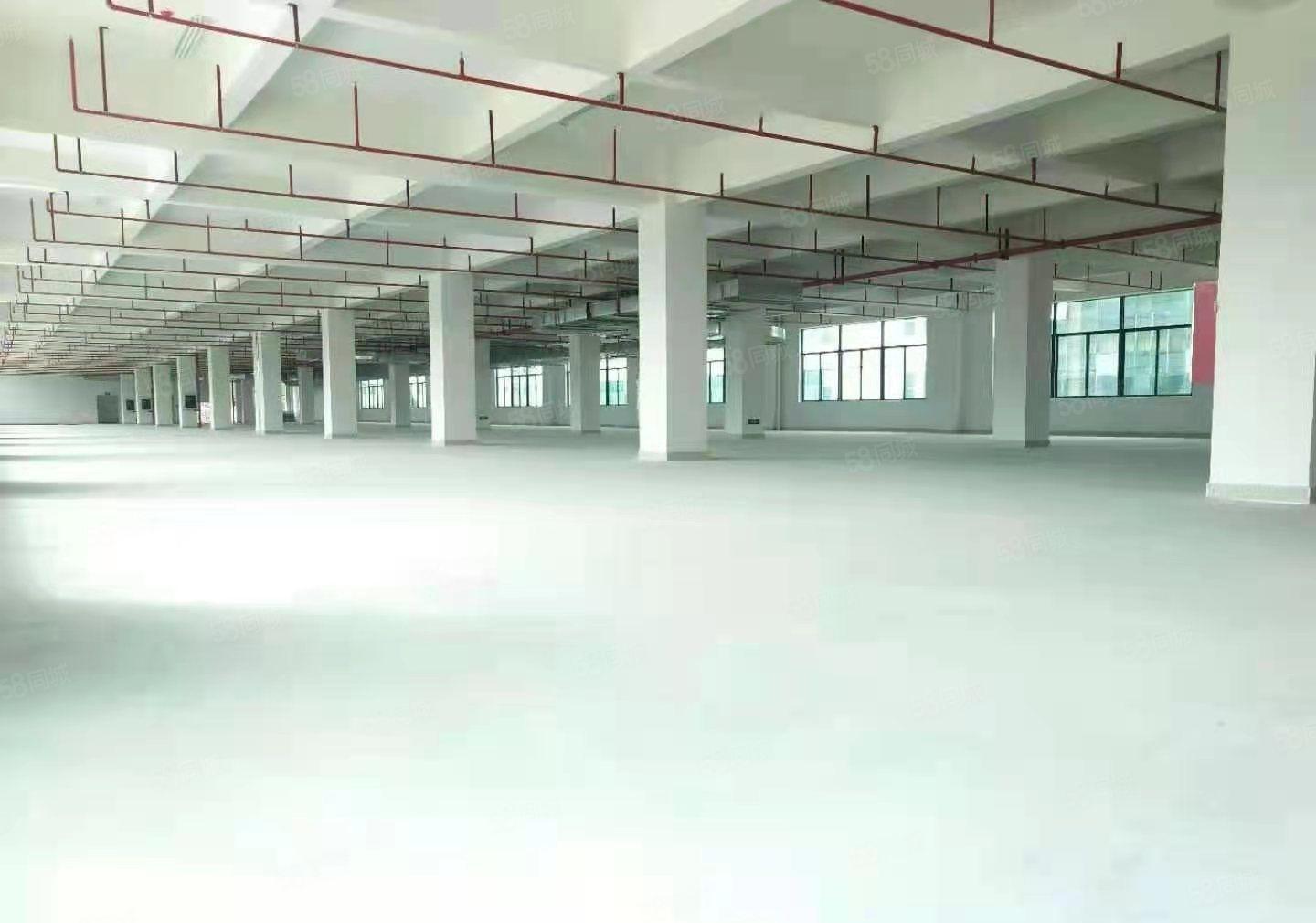 木棉湾主干道边大型工业园2100平厂房招租3吨货梯200平起