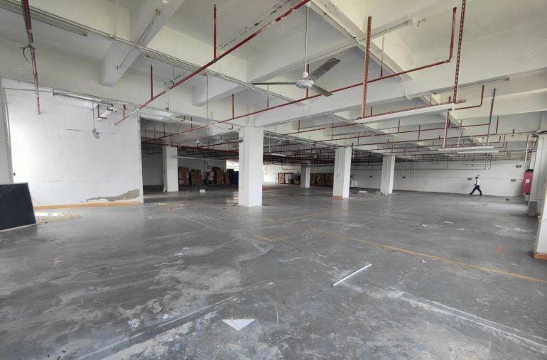 布吉百鸽笼新出精装修厂房1500平实际面积出租可以分租