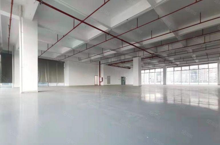 20元起租丹竹头原房东5000平厂房仓库出租100平起租