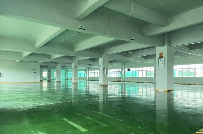 布吉街工业园原房东新出楼上1000平精装修办公室仓库厂房出租