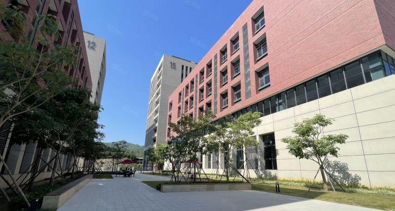 李朗地铁口创意园100平方至1000平方电商厂房出租仓库出租