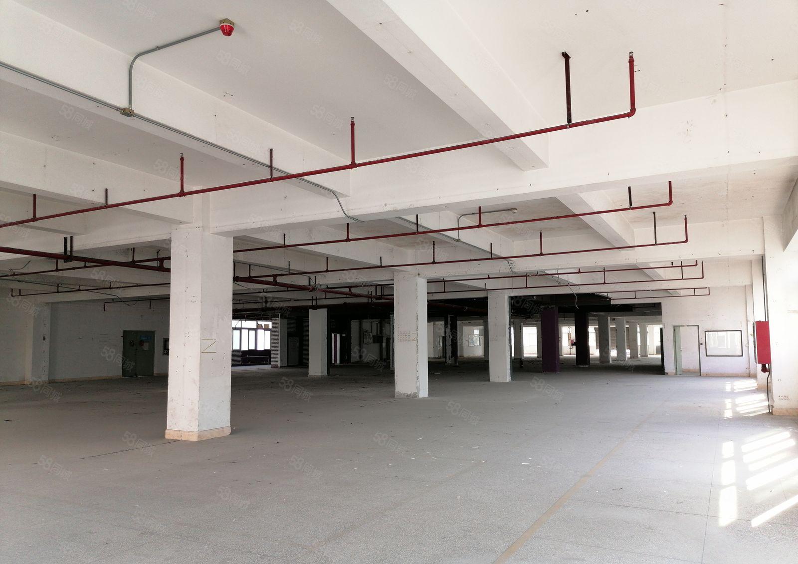 布吉 主干道旁 超高实用率 一手红本厂房仓储出租