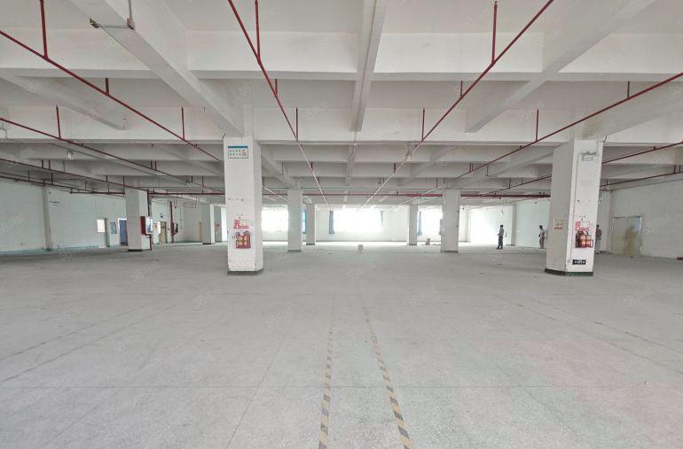 布吉地铁口带装修200平至2000平厂房出租电商一楼仓库出租