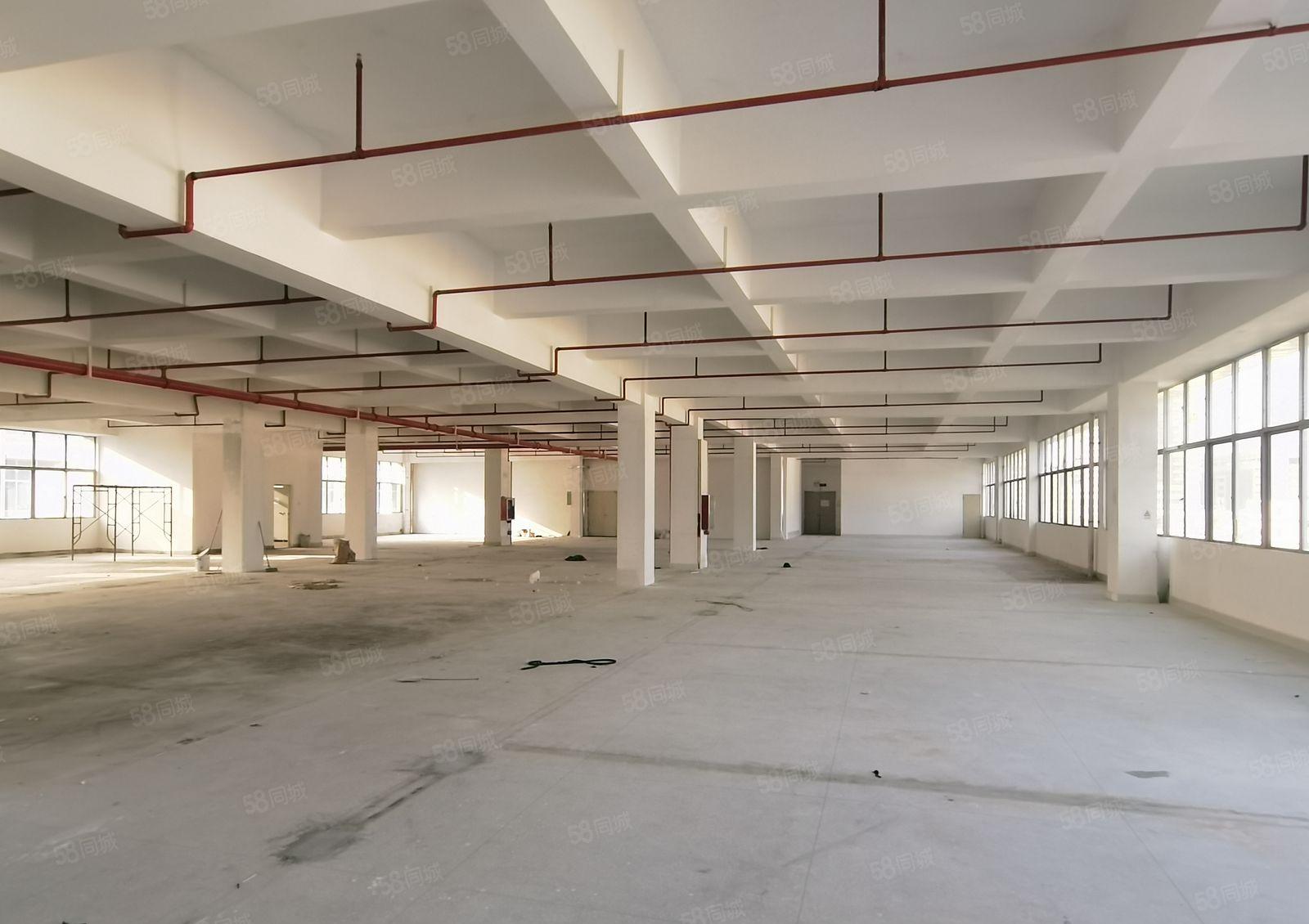 布吉上李朗工业区500至1688平带装修一手房东交通便利