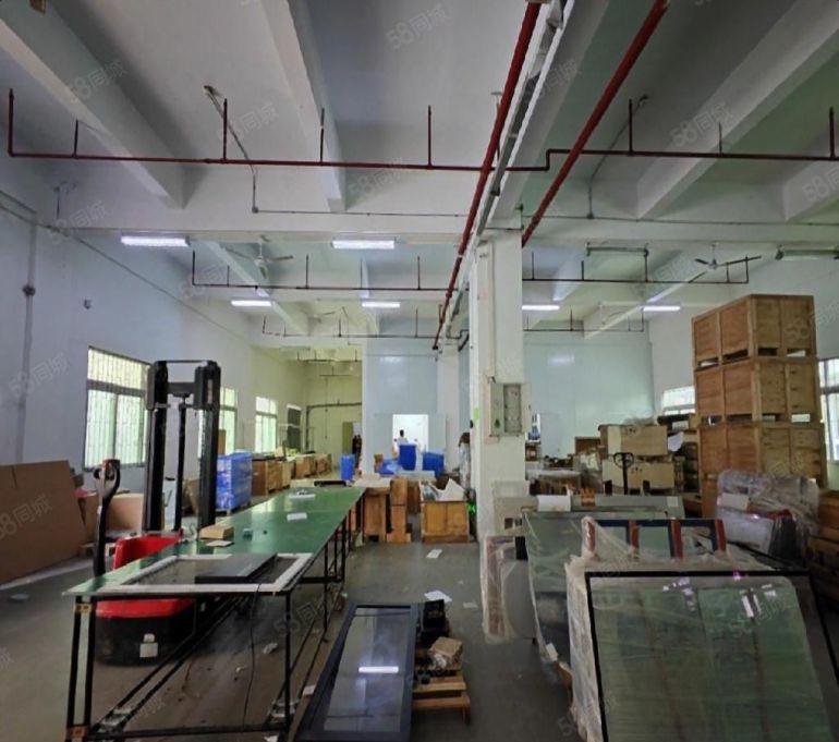 实际面积 层高5米 龙岗新生一楼2000平办公室仓库厂房出租