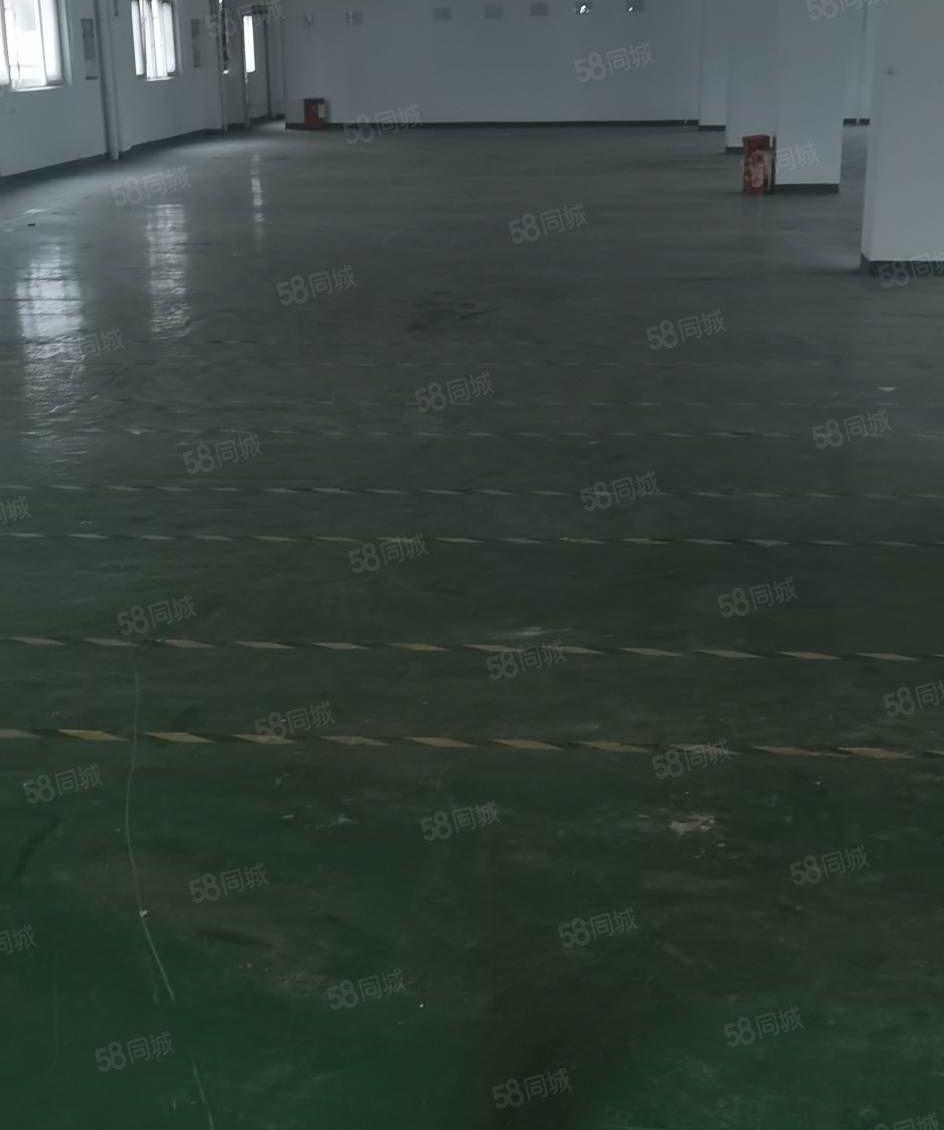 秀峰租售中心 专业出租秀峰工业城厂房仓库 大量厂房宿舍出租!