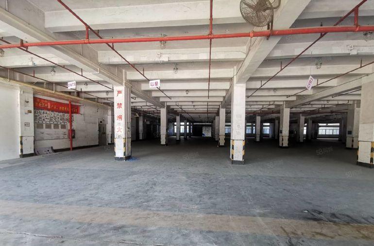 布吉高标物流仓6500平原房东厂房出租 独门独院仓库物流