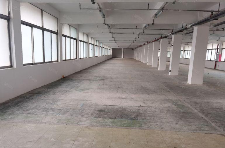 布吉布沙路南岭新出2楼830平房产证红本村委一手使用率高出租