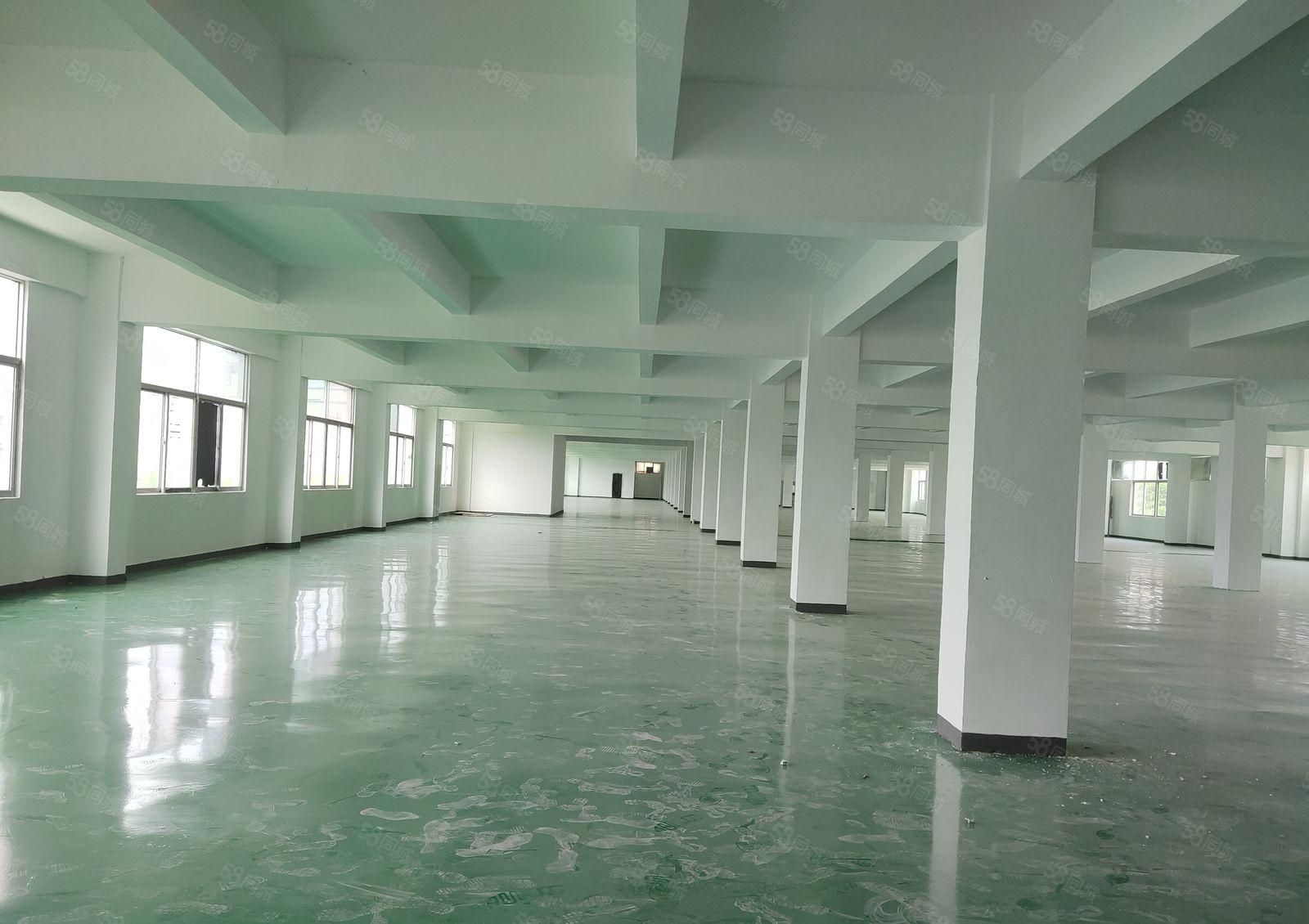 布吉上李朗工业区红本2百5百8百1千平楼上仓库厂房出租可分租