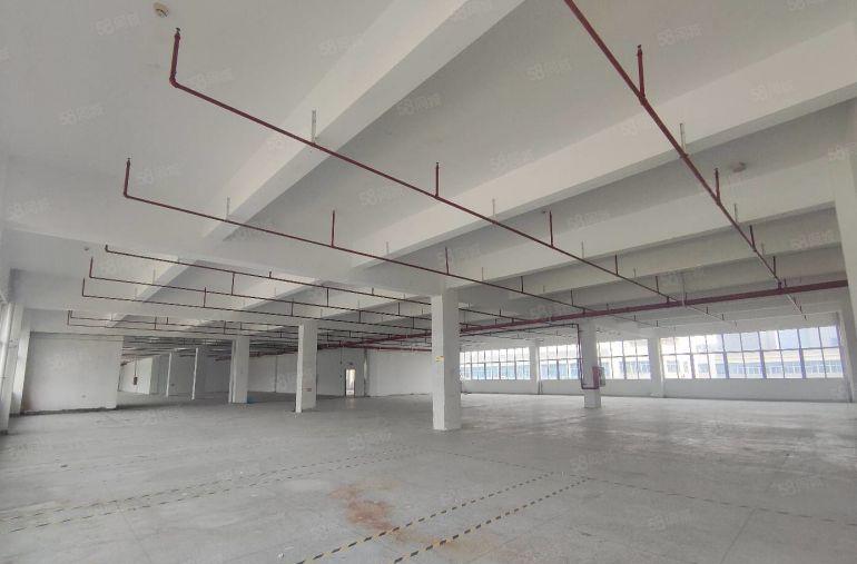 布吉楼上2000平原房东红本厂房招租，自带环评，500起分。