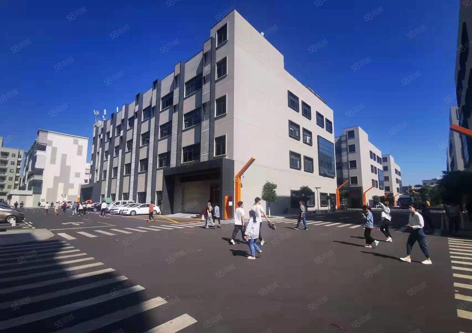 杨美地铁站旁大型电商园楼上300平精装修电商办公仓库厂房出租