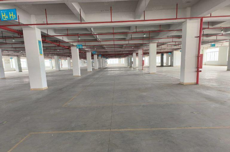 原房东独门独院工业园低价厂房出租一楼仓库出租厂房大小分租空地