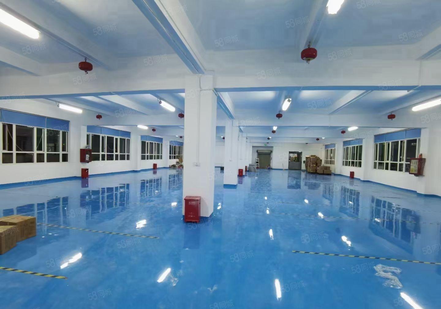 龙岗布吉精装办公室电商仓库组装贸易200平300平可分租