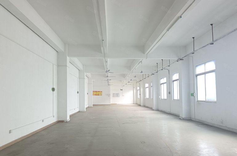 布吉丹竹头6000平独栋厂房出租原房东实际面积层高6米可分租