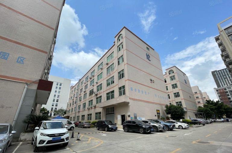 李朗珠宝园新出1000平精装修办公仓库厂房原房东实际面积出