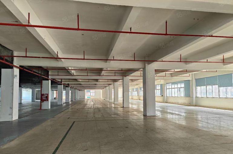 光明安防科技园厂房出租10000平 使用率高 形象好 空地大